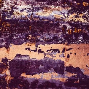 Meet your Posher, Tyara